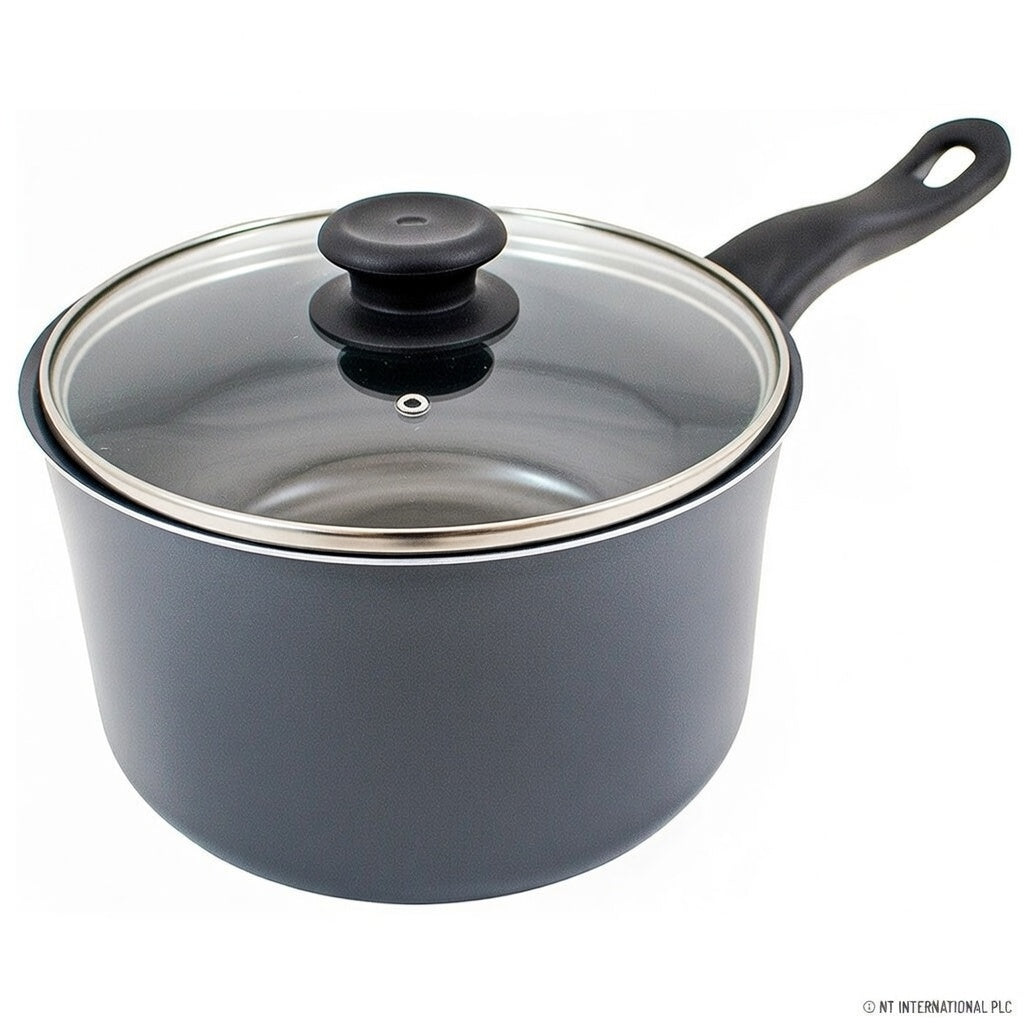 20cm Milk Pan with Glass Lid and Black Handle